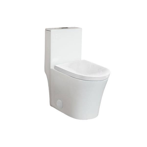 Toilette monopièce, allongée, double chasse